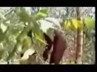 Pagbibigay a pagsubo ng titi upang tribesman para 8 pounds ng bananas